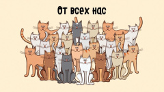 Конв д/д  От всех нас (котики)